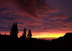 阿里山閣大飯店