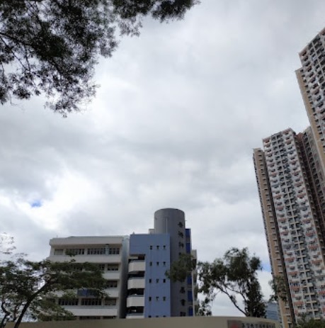 培基書院DSE成績好唔好