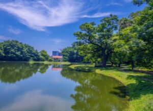 東海大學